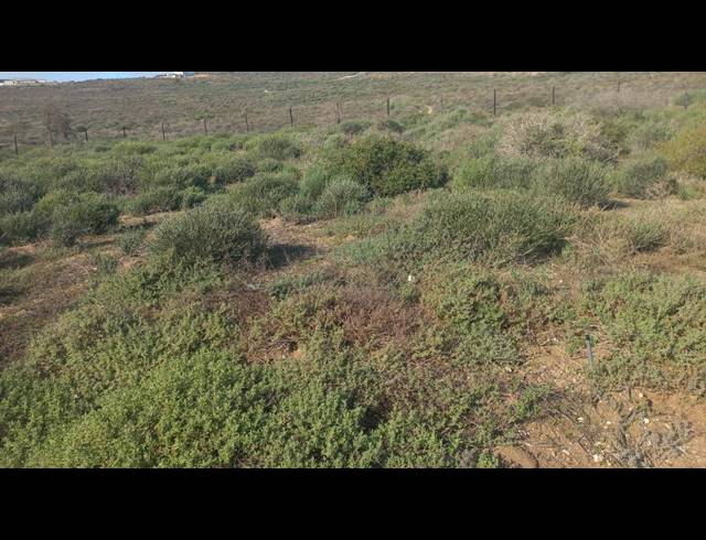 441M² VACANT LAND FOR SALE IN ST HELENA VIEWS